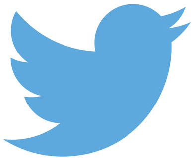 Twitter logo - Lexxi Saal